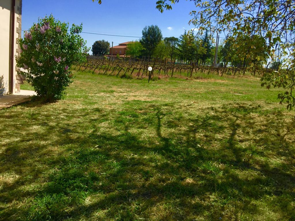 Country House Maremma Nel Tufo Pitigliano Ngoại thất bức ảnh