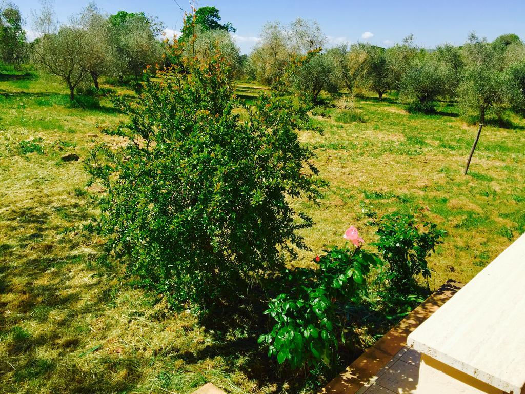 Country House Maremma Nel Tufo Pitigliano Ngoại thất bức ảnh